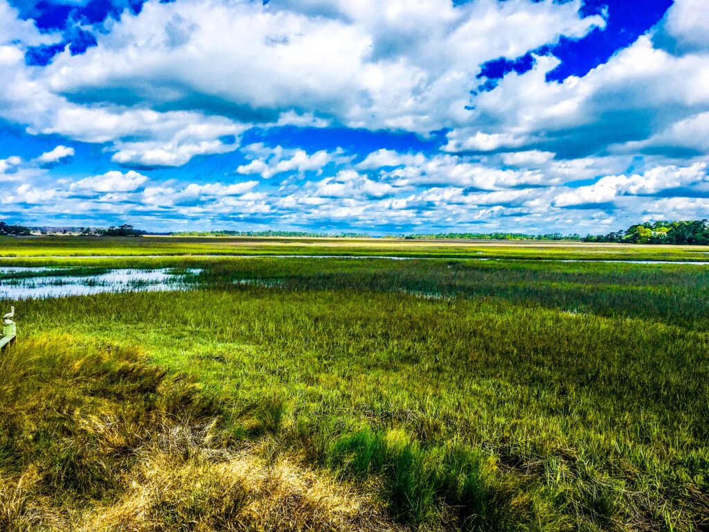 The Clouds Over The Marsh SC