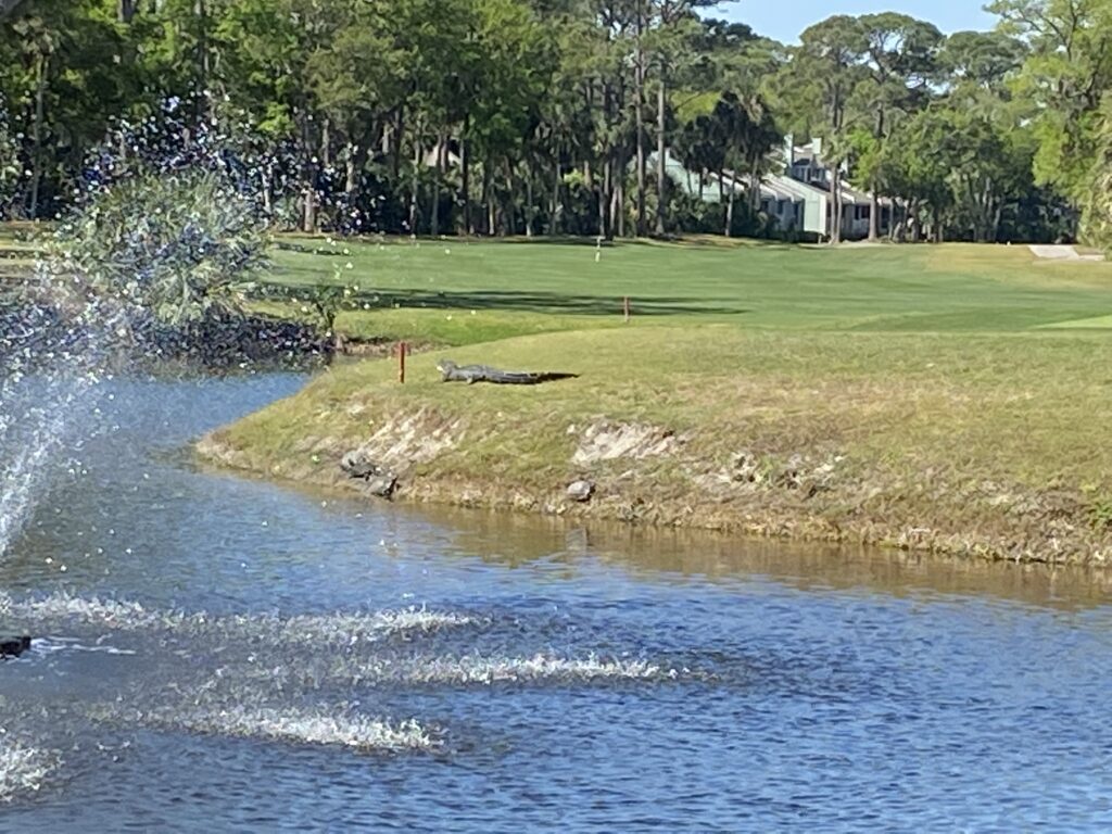 Myrtle Beach Golf 