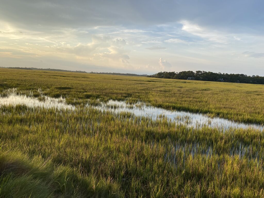 Scenic Low Country Marshes