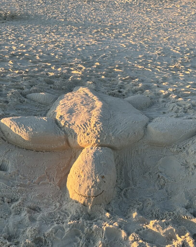 Sand Turtle