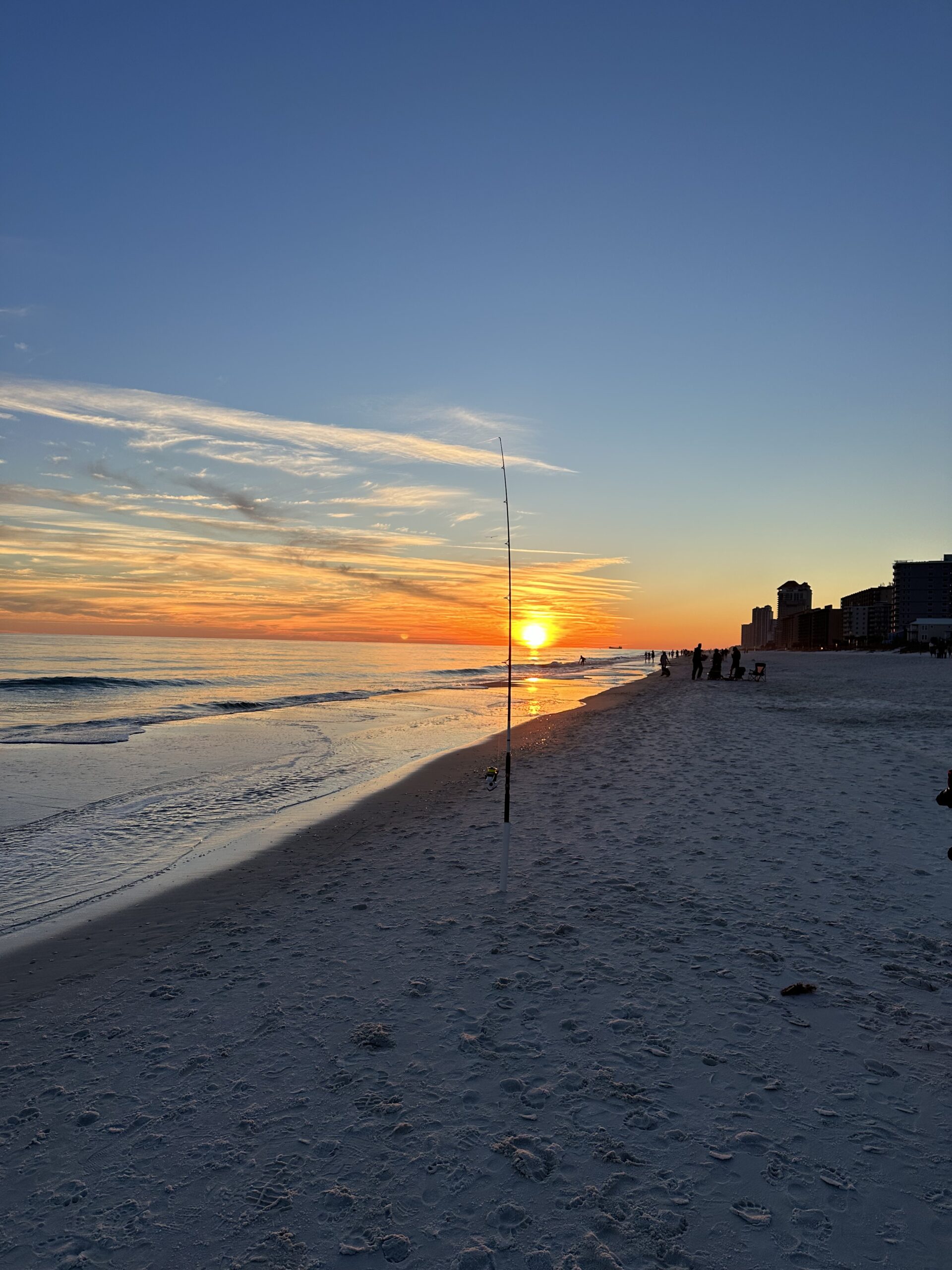 Surf Fish Beach Sun