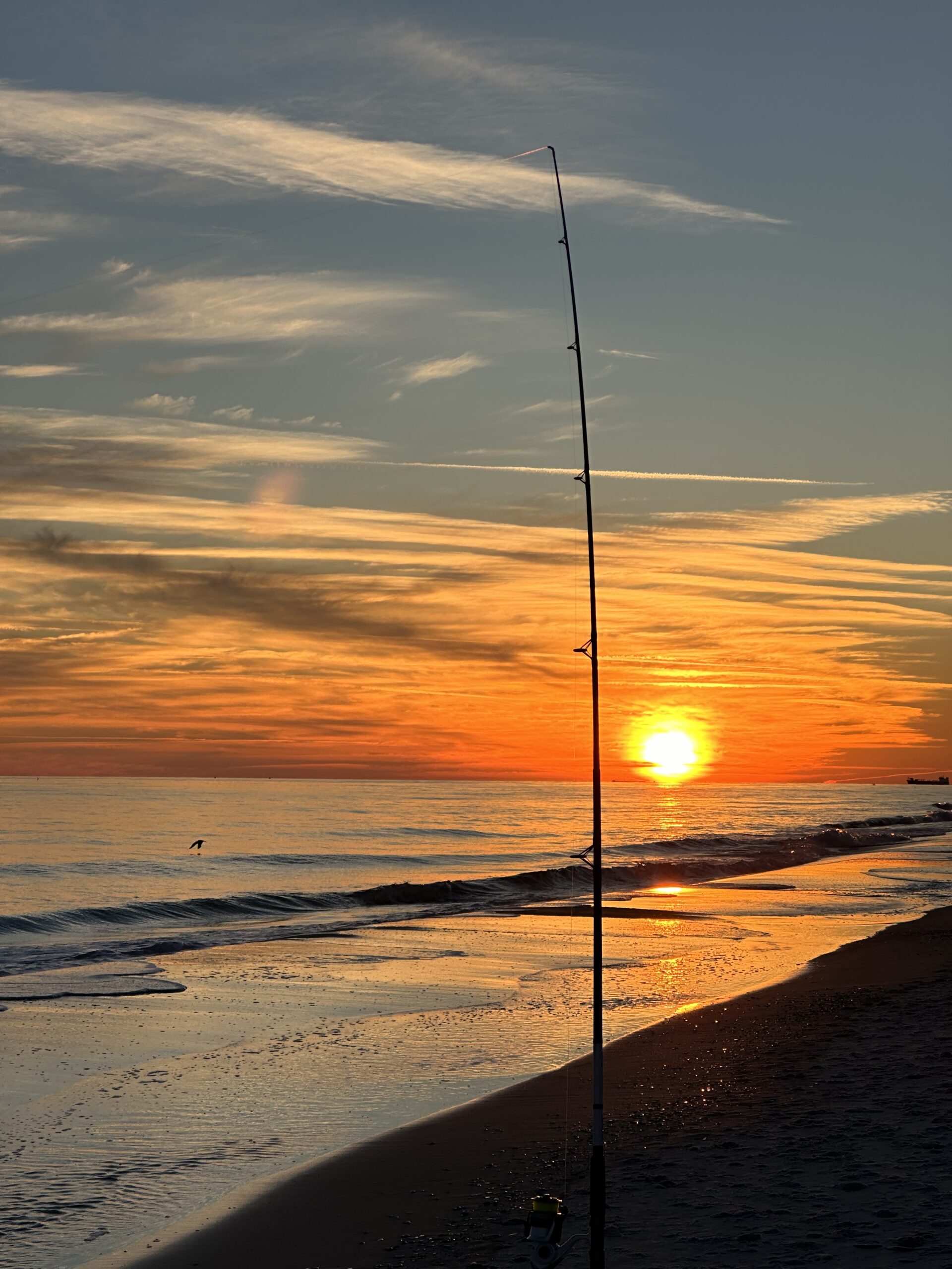 Fishing The Carolinas