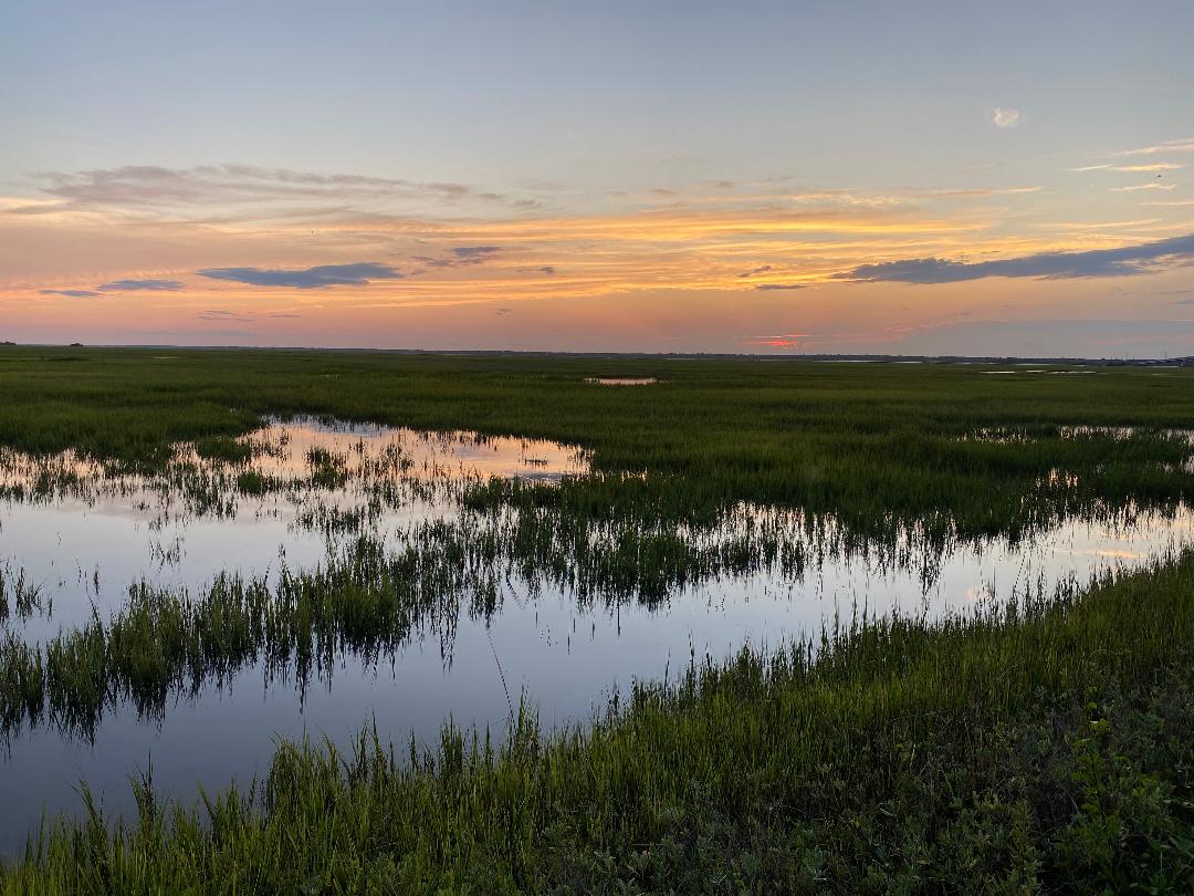 Sunsetting Over The Marsh In SC Lowcountry