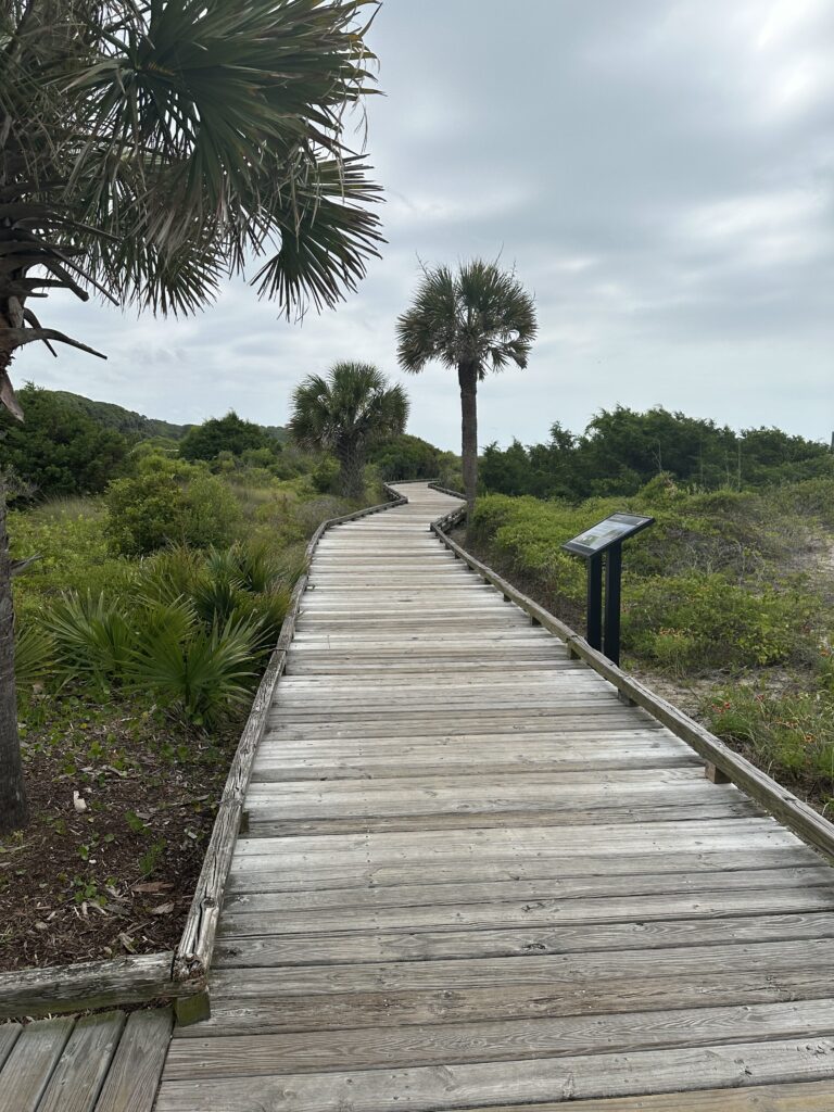 Enjoy a Beach Trail at The State Park