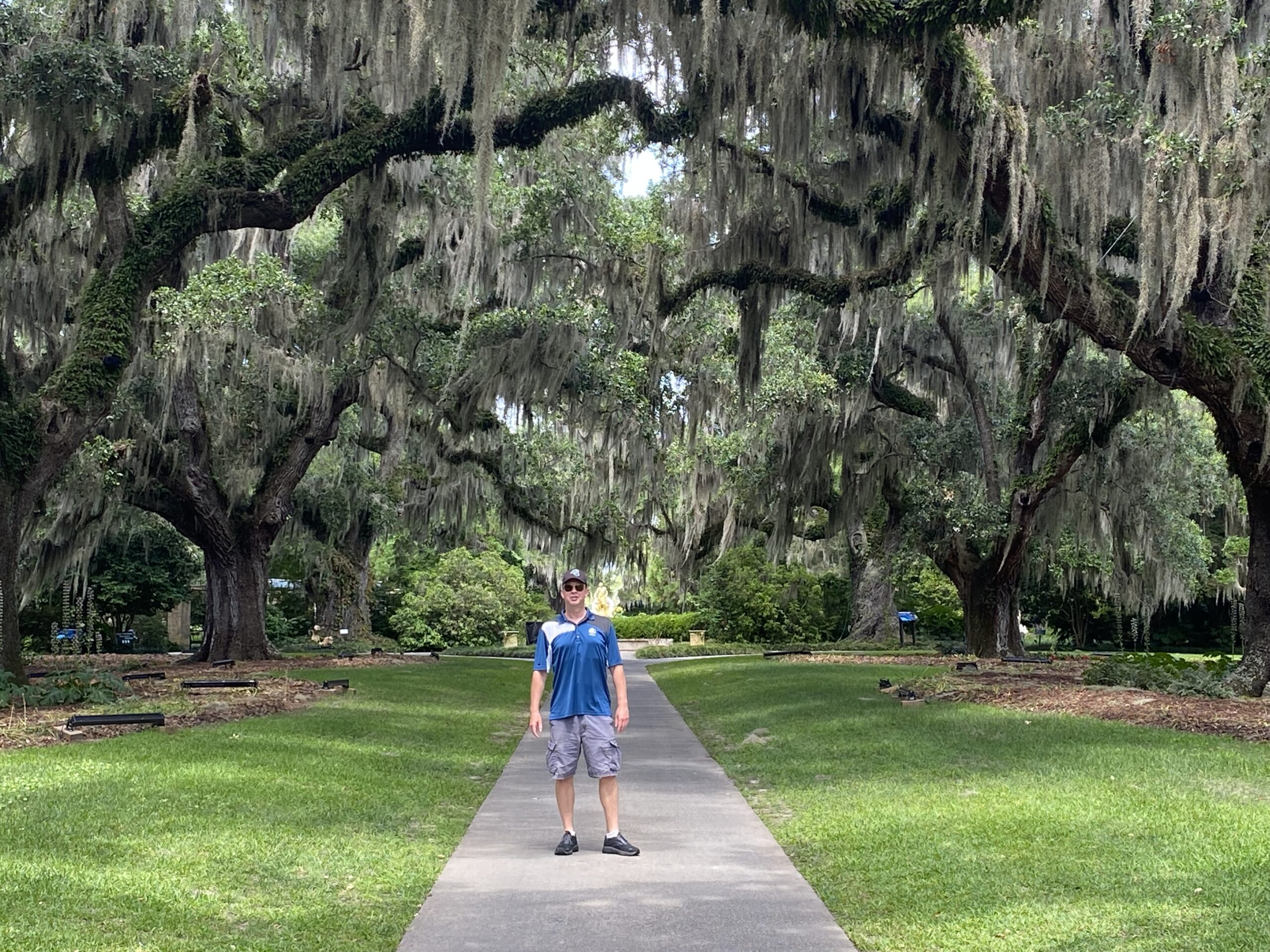 Dennis Walking Under The Historic Oaks