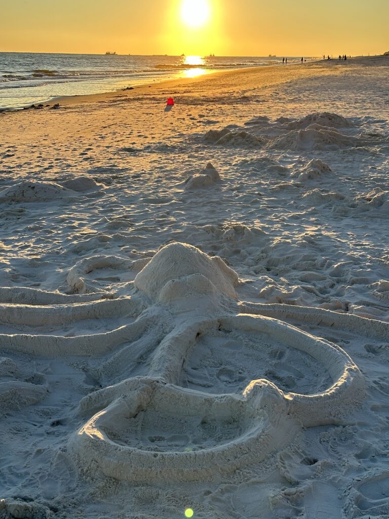 Octopus Sand Art