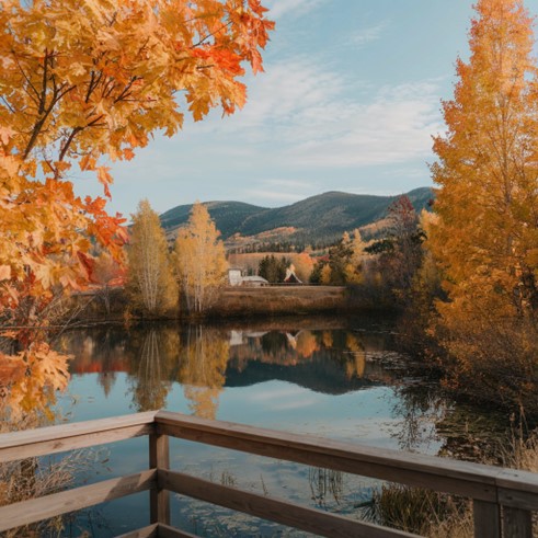 Day Trips from Myrtle Beach for Fall Foliage