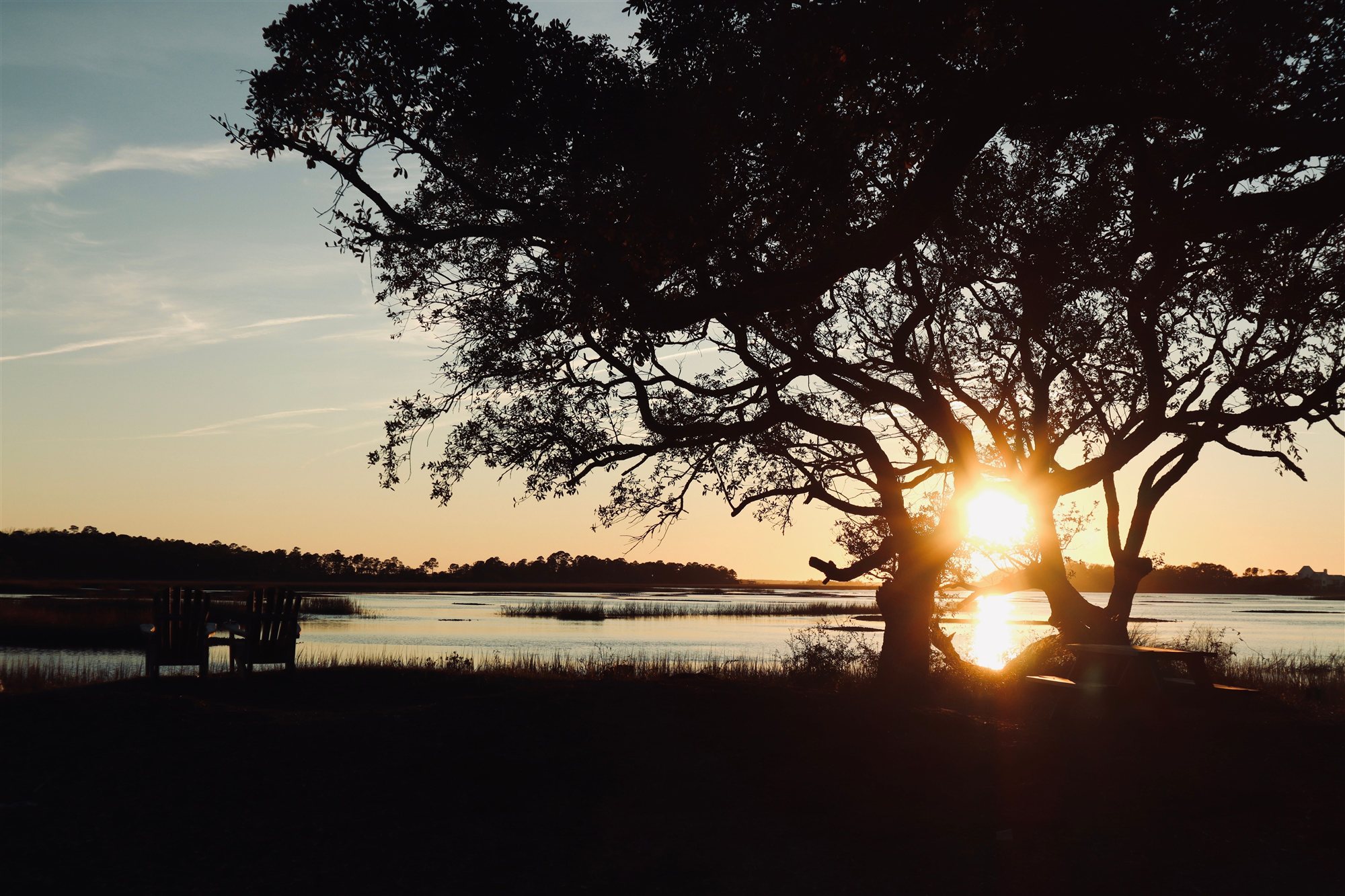 Sunset over a South Carolina lowcountry marsh with live oak trees