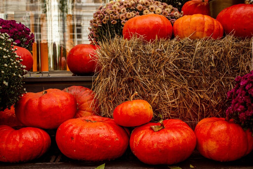 Pumpkins and hay bale fall festival display decorated with mums, Grand Strand South Carolina